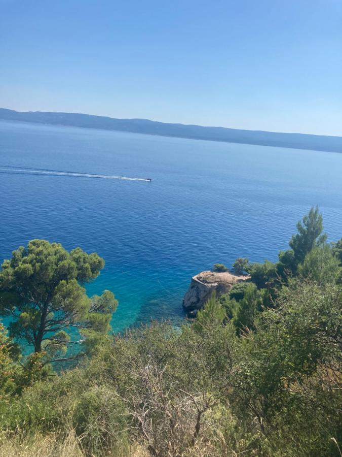 Emmi Apartments Marusici  Bagian luar foto